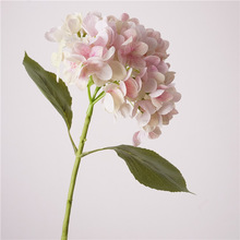 �ָд�ӡħ��ɺ������ ���滨 ���W�ҾӾƵ�ܛ�b�c�辰����