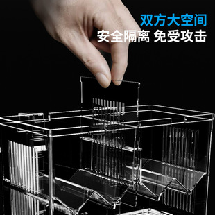 Factory wholesale peacock breeding box acrylic extra large spawning incubation delivery room small fry Young size fish