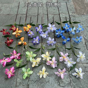 �羳�¿��c�����Sβ�S�� 3�^�Sβ ���@�L��Y·��ܛ�b�ٻ����l