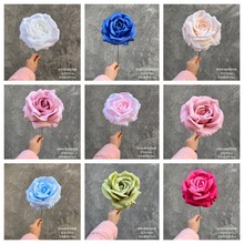 ֧õ滨YҾbDIYֹ廨ٻ[l