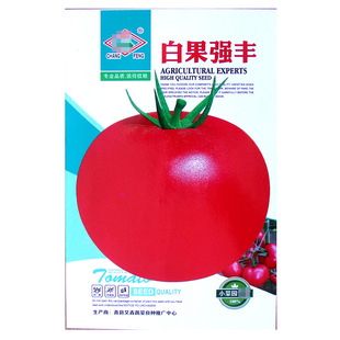 �׹����S���ѷN�� �r��ˈ@������ۼt��Ƥ�������t���߲���