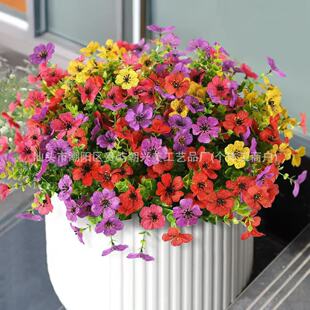 �羳�����ȼ������_�m���ϼٻ�ͥԺ�ҾӲ廨����ֲ�ﻨ���b[��