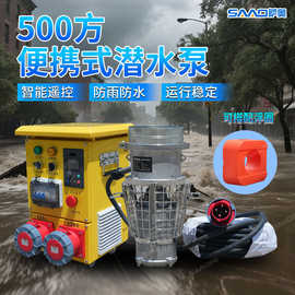 永磁变频潜水泵 大流量高扬程排涝不锈钢防洪潜水轴流泵同步电机