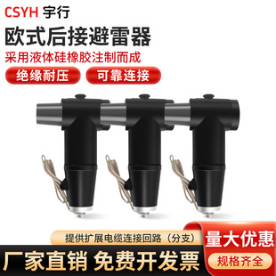 �߉��Wʽ����^������ 10kV ������ͷ�֧�����^T����|���^