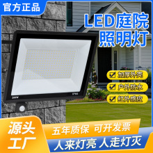 ledwБͶͥԺ܇50WO_t⾀