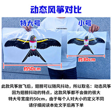 �ֳ��~���L�~2026�¿����l��ͯ��ͨ�����~�U�ӑB�L�~ҹ�Д[����~