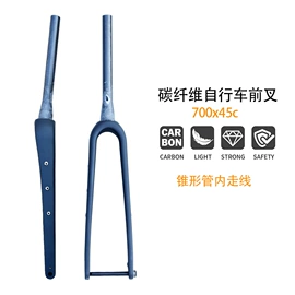 自行车装饰;前叉;公路自行车