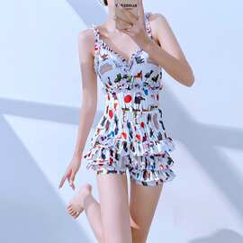 新款连体泳衣女夏性感显瘦遮肚小胸聚拢裙式三角跨境一件代发