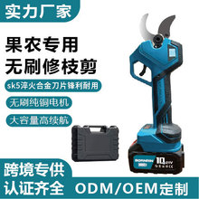 늄Ӽ������ʽ�@�ֹ�����֦���늼���֦����늼��Ӽ�֦���l21V