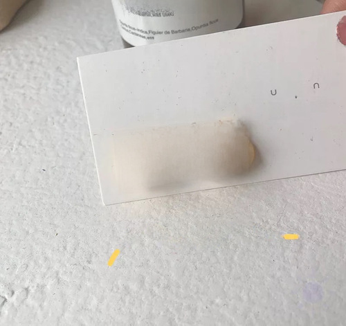 Summer Fresh and Versatile Cartoon Flower Earrings 2020 New Trendy Sweet and Simple Women's Small Silver Needle Earrings