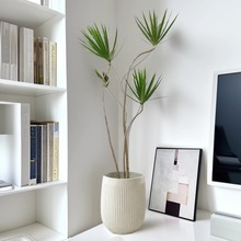 ���~ǧ��ľ�҃����Կ͏d�Gֲ��Ѫ���Ϙ�ֲ��͏d�������