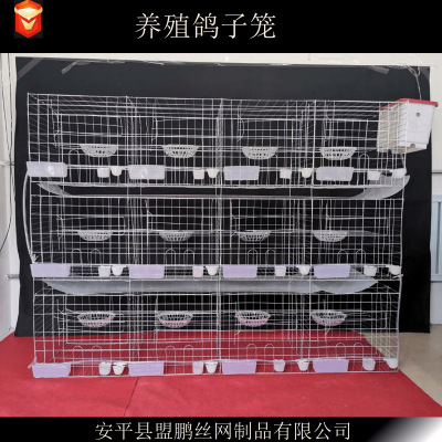 【量大从优】批发肉鸽养殖笼具三层12位配对笼加粗加重镀锌鸽笼|ms