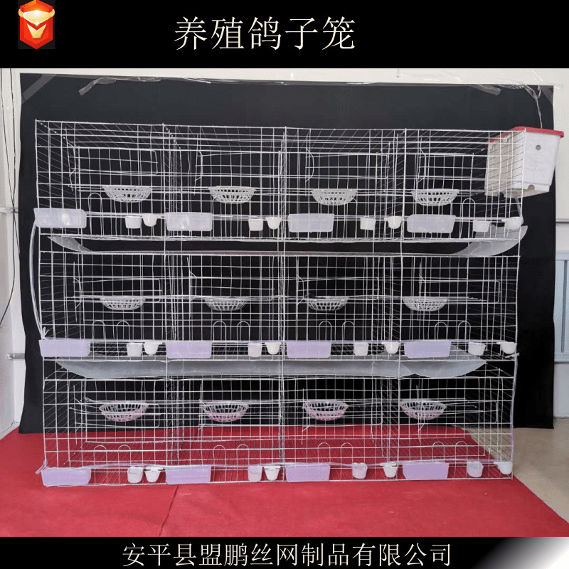 【量大从优】批发肉鸽养殖笼具三层12位配对笼加粗加重镀锌鸽笼|ms