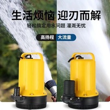 上海人民抽水取水泵12V24V48V60V72V省电直流潜水泵