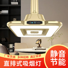 牌室吸烟灯直排空气净化神器麻将机专用吊灯馆房桌抽烟神器排烟灯
