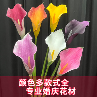 �R��ɏ���滨�͏d�ٻ��b�Ʒ�[���߼��мҾӈ������øߙn��ˇ�[�O