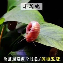 ���l �^�p�� �O���ݻ��w�׻���B�p��������坍���幤��