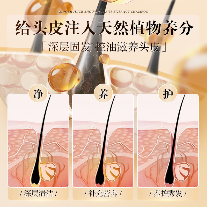 Shuimushanquan Old Ginger King Ginger anti-hair loss shampoo oil control anti-dandruff solid hair shampoo shampoo wholesale