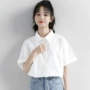 修身新款短袖夏季衬衫