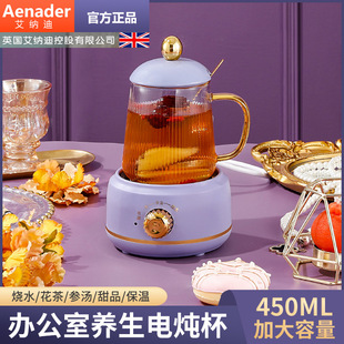 Multifunctional Health Pot Office Small Tea Maker Scented Tea Household Kettle Portable Health Cup Stew Pot