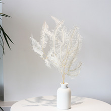 ��ɫ�ݰ˽���β��ɫ�{ ���͝M�����滨�����ɻ���С�u���_���B