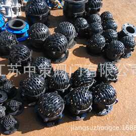 H42X-2.5铸铁法兰底阀 井底阀 吸水阀 单向阀 水泵底阀 海底阀
