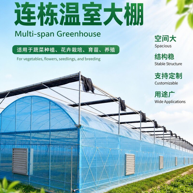 Professional Customization of One-Piece Multi-Span Greenhouses with Hot-Dip Galvanized Pipe Frames for Vegetable Cultivation