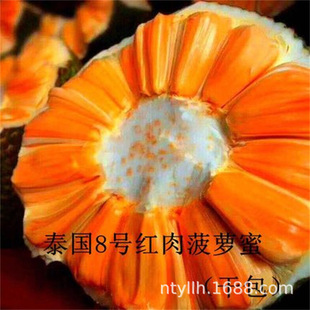 �ļ����}����޽��Ϸ��Nֲ���Բ��}�ۘ��������t�⺣�Ϙ䲤�}��