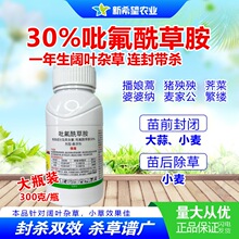 30%吡氟酰草胺 大蒜苗前封闭药 播娘蒿荠菜婆婆纳 小麦苗后除草剂
