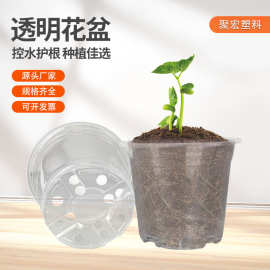 厂家定制家用控根育苗盆亚马逊加厚透明花盆园艺花卉一次性种植盆