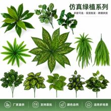 �羳���l����Gֲ��˹�~ާ�ֲ����໨��ֲ��b����z����