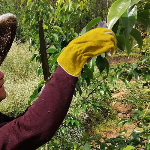 Factory-made cowhide riding gloves, outdoor gardening gloves, rose-resistant, cut-proof, and electric-welding safety work gloves—cross-border available