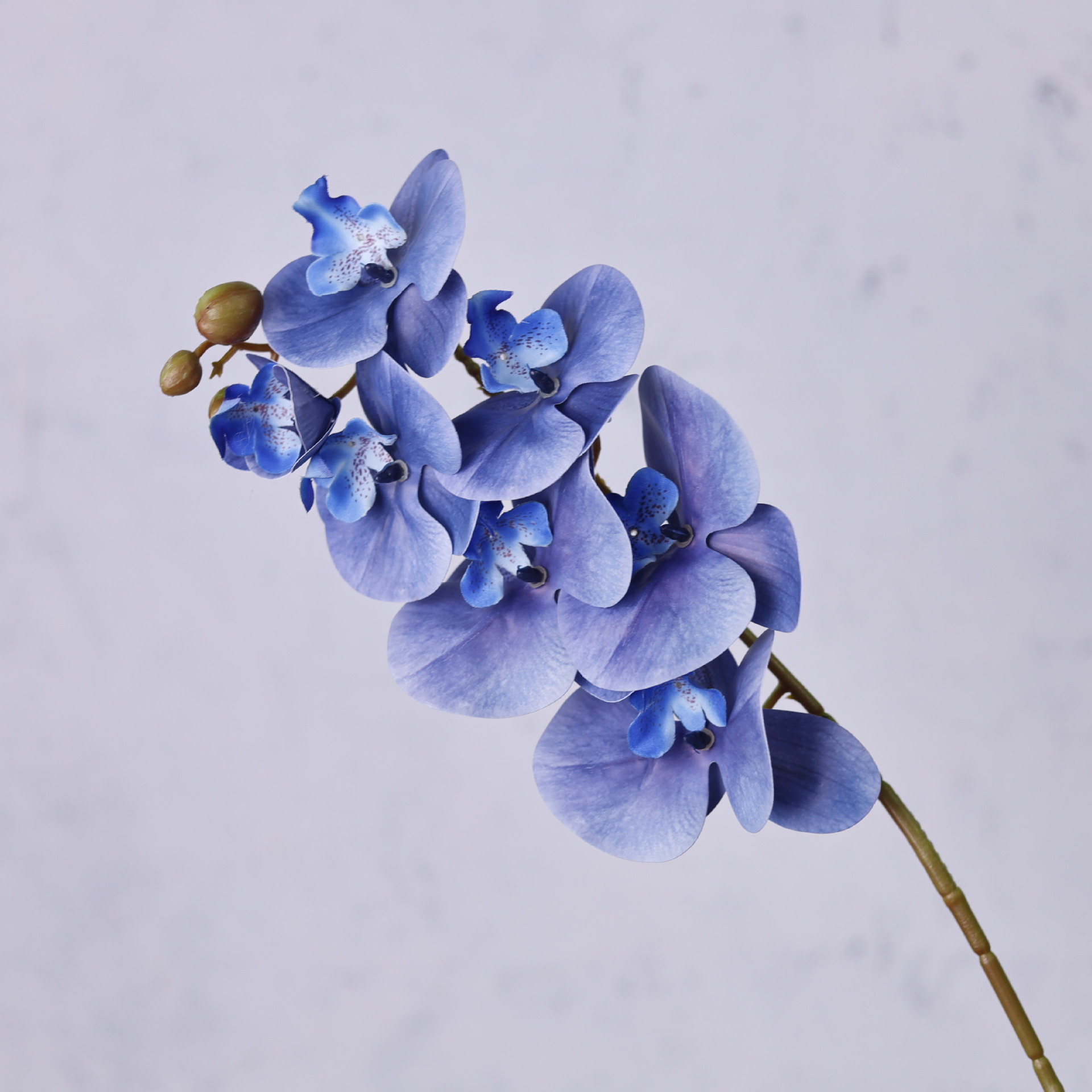 Impresión 3D de 7 cabezas de orquídeas mariposa flor de decoración de flores de alto nivel flor de nicho decoración floral decoración de sala de estar