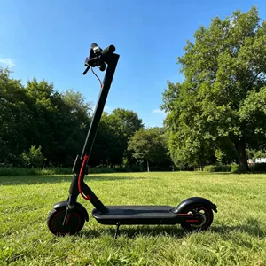 Cross-Border Direct Sales 8.5inch Smart App-Powered High-Power Foldable Mobility Scooter with Shock Absorption Electric Scooter