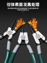 ���l�����{�����Q��6�������ÿ��S�Q�󿨭h�Q��Ȧ�Q���Q�����Q