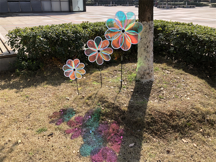 30cm玻纤杆彩膜八片 (5)