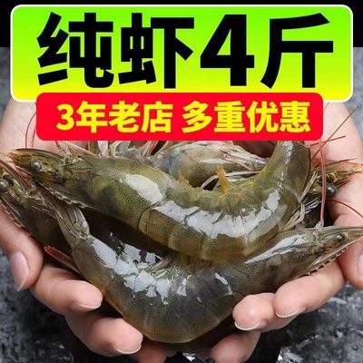 Prawns domestic Qingdao case Fresh fresh Shrimp Seafood Shrimp Boat Cross border