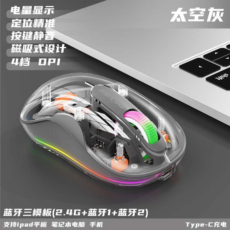 스페이스 그레이-[단일 수신기]