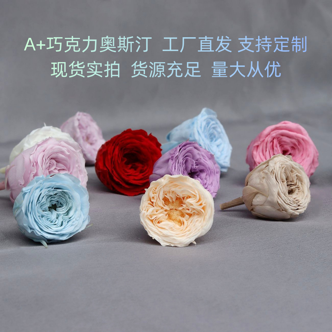 Rosas de San Valentín A+/Austin/Flores Preservadas/Cabezas de Rosa de 2-3CM/Venta al por Mayor del Fabricante, Descuentos Disponibles por Grandes Cantidades