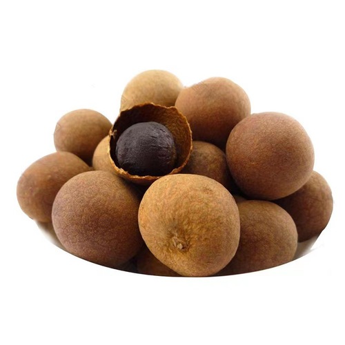 Fujian Putian Longan Dried, a direct source manufacturer for dropshipping, supply chain dropshipping, new arrival Longan meat