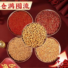 ����S���s�Z��լ�[��ů���_�I�����w���¾��b���լ�xʽ�Y���