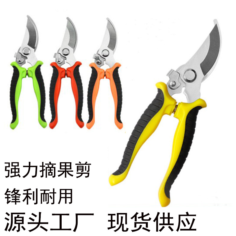 不锈钢园林剪摘果剪多功能防滑园艺剪修树枝剪省力强力花艺剪刀