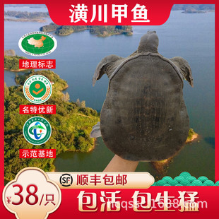 ���߶˲���ؼ���ݹ����~ �괨���~�Bֳ���جFץ�F�l���w