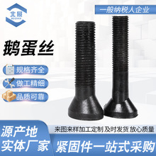 �r����˨ �ߏ����Z���z �E�A�^�����ݽz ����C���^��˨ �Z����˨