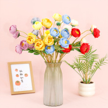 5֦Сĵ滨ٻҾӻYbɻܻˇl[