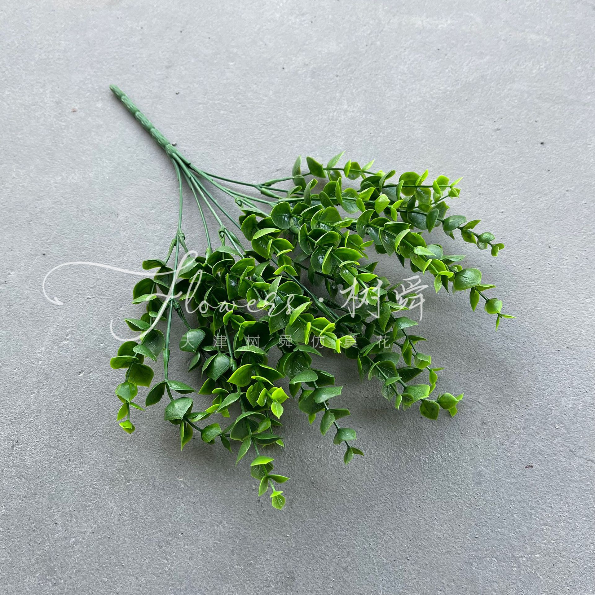 Pon el paquete de eucalipto (32cm)