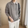 秋季翻领青年男士卫衣