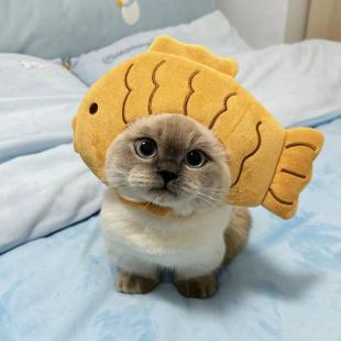鲷鱼烧猫咪头套可爱毛绒公仔娃衣搞笑搞怪拍摄宠物狗狗头套帽子-阿里巴巴