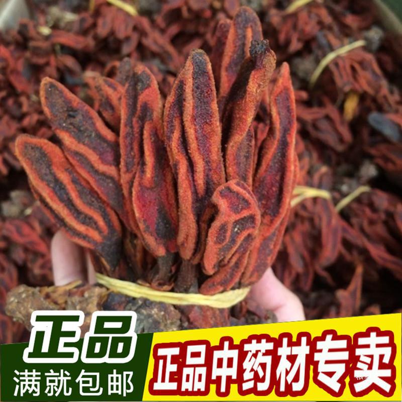 回春草顶天柱不老草 草丛蓉泡酒料泡水茶新货500克包邮真货好货