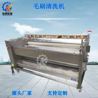 萝卜芥菜毛刷清洗机 全自动小型莲藕磨皮机 土豆去皮机商用电动